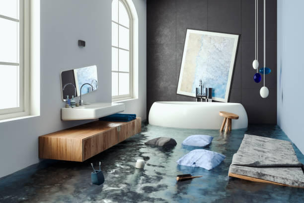 Best Water damage restoration specialists  in Holton, KS