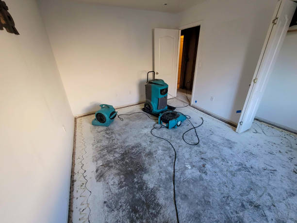 Best Water damage repair service  in Holton, KS