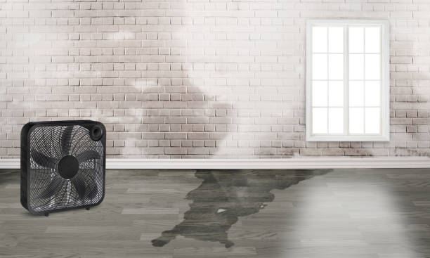  Holton, KS Water damage restoration Pros