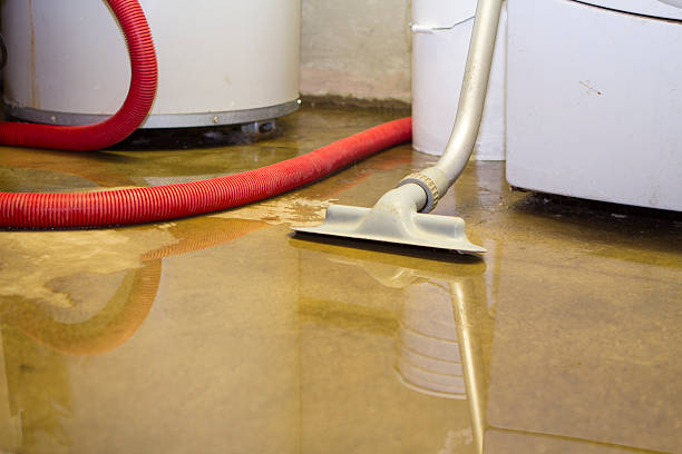 Best Flood restoration services  in Holton, KS