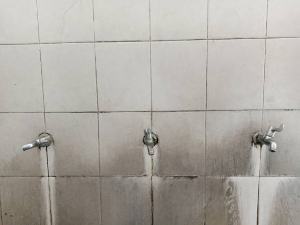 Best 24-hour water damage restoration  in Holton, KS