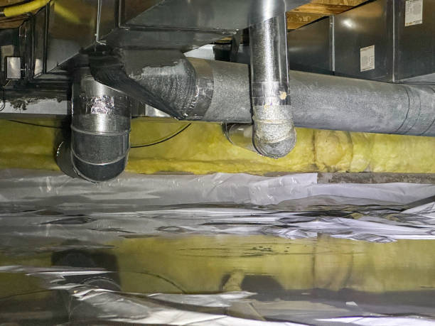 Best Mold removal after water damage  in Holton, KS