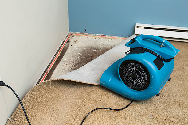 Best Sewage cleanup and water damage restoration  in Holton, KS